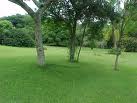 Sugestões para o seu gramado ficar ainda mais bonito!