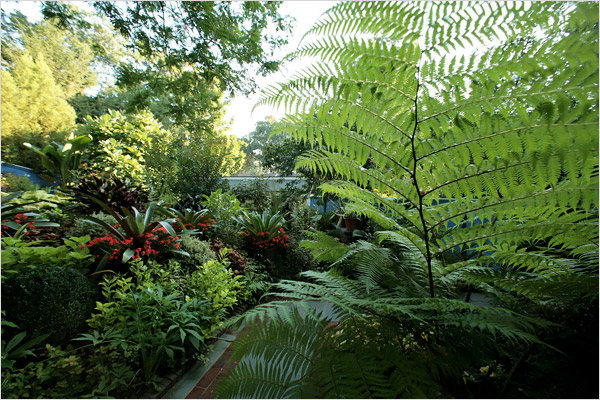 Belo Jardim