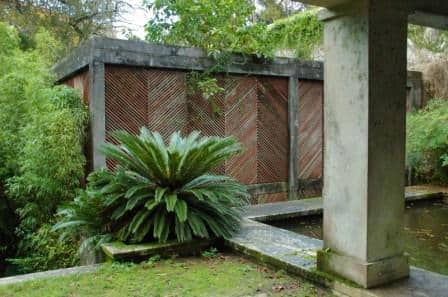 Fique atento às espécies e luminosidade do jardim
