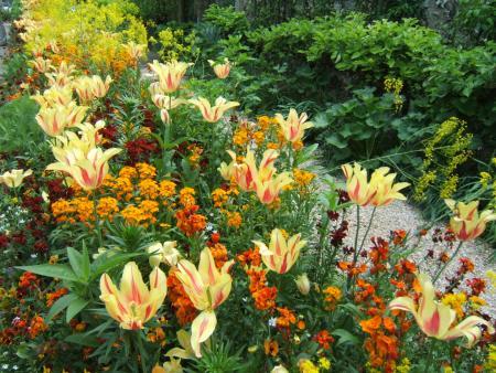 Deixe o Jardim Muito mais Harmônico com Cursos de Jardinagem