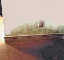 Problemas com Infiltrações e Umidade‏