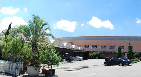 Bota-fora de jardinagem e paisagismo