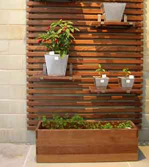 Horta em casa