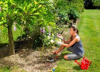 Prepare seu jardim para a primavera