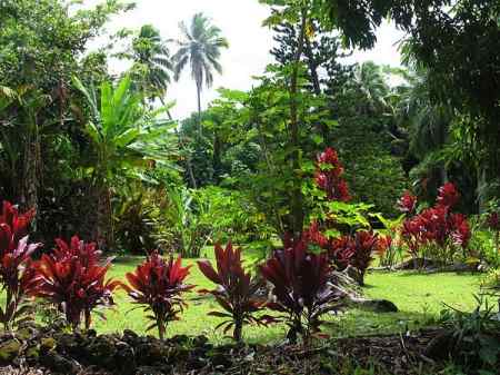 Estilos de Jardim: Tropical