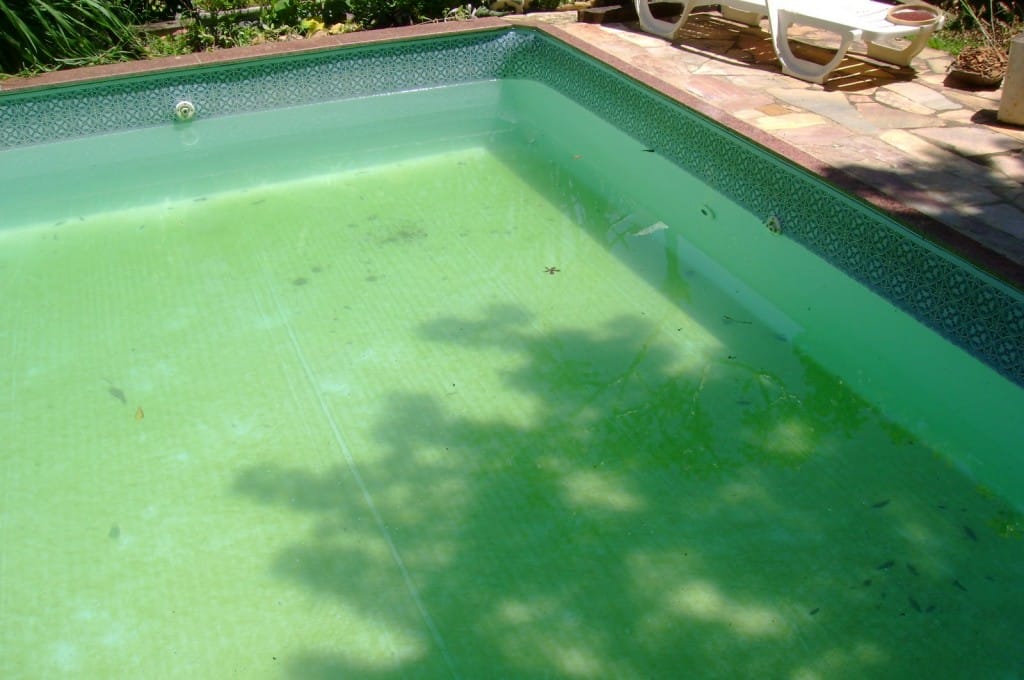 Piscinas, problemas e soluções