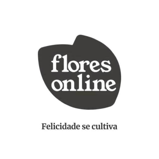 suculentas-quais-sao-os-maiores-cuidados-02