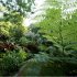 Jardins mesclados 2