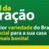Para conservar o brilho de porcelanatos