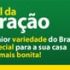 Organize sua mudança