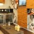 Como Instalar Adesivo Decorativo