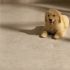 Electrolux Design Lab 2011