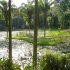 Anéis de Guardanapo Tropicais