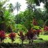 Estilos de Jardim: Desértico