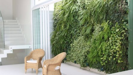 Urban Jungle: como ter esse estilo em sua casa